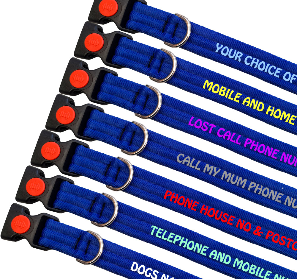 Personalised Dog Collars Padded Range For Medium Large Dogs |Royal Blue